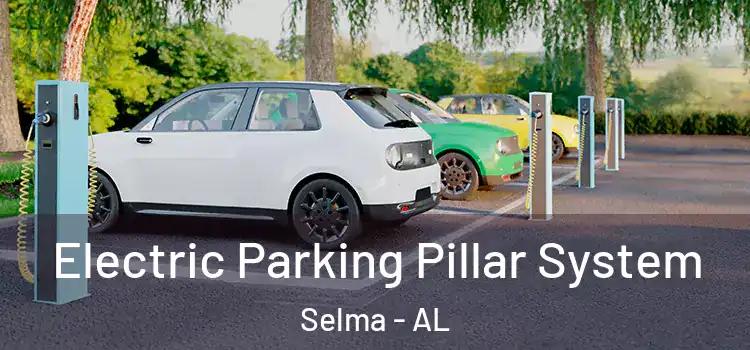 Electric Parking Pillar System Selma - AL